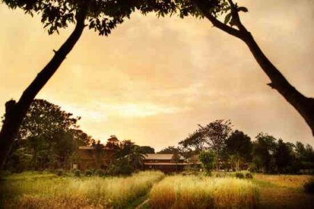 Welcome to Navdanya Image